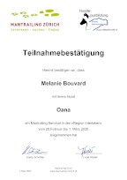 Mantrailing Interlaken